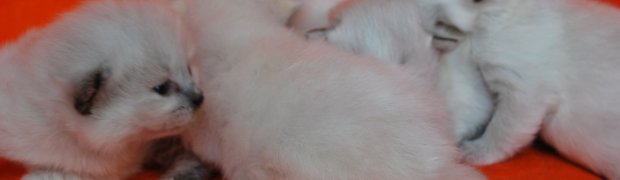 Miot "K" ur. 26.09.08:
Wspólne zdjęcia:
DSC_0119