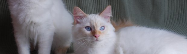 Miot "K" ur. 26.09.08:
Wspólne zdjęcia:
DSC_0139