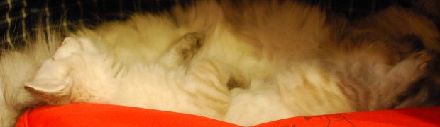 Miot "K" ur. 26.09.08:
Wspólne zdjęcia:
DSC_0803