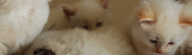 Wspólne zdjęcia:
DSC_1052