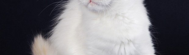 Lilou / d 21:
DSC_9714_Lilou