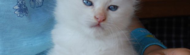 Lilou / d 21:
lilou7