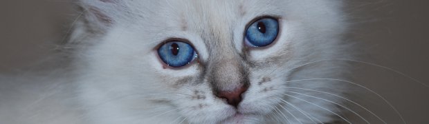 Padma:
DSC_1446