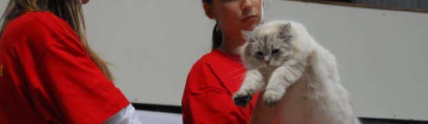 Opole 07.03.09 /FIFE/ NevaShow:
DSC_0964