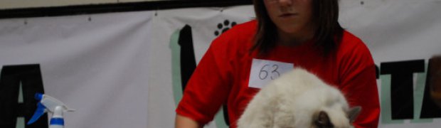 Opole 07.03.09 /FIFE/ NevaShow:
DSC_0984