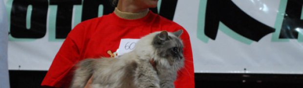 Opole 07.03.09 /FIFE/ NevaShow:
DSC_0993